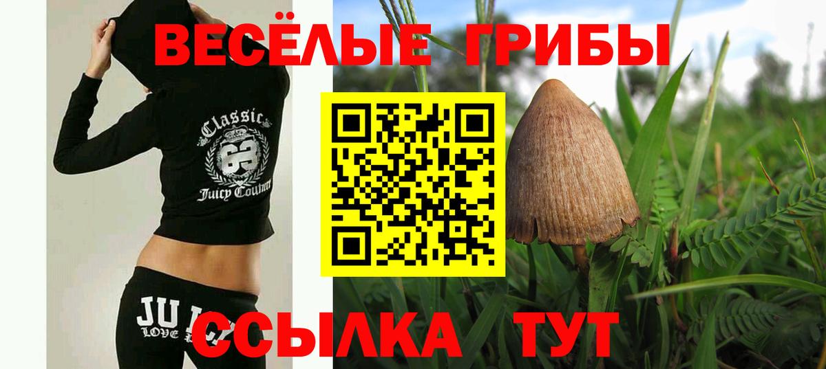 Псилоцибиновые грибы ЛСД  Вход с VPN  Псилоцибиновые грибы GOLDEN TEACHER  Дербент 